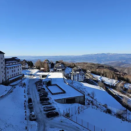 Mountain View Milmari P80 *
