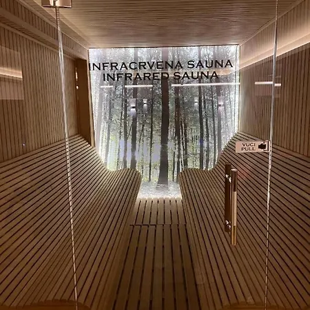 Apartment Mountain View Milmari P80 Kopaonik