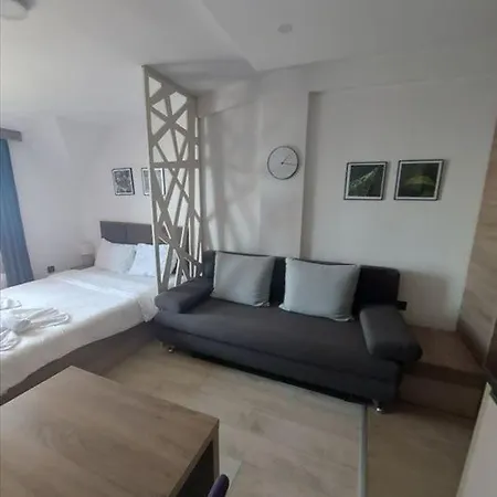 Apartment Mountain View Milmari P80 Kopaonik